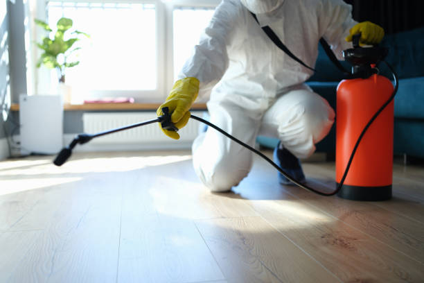 Reliable Odor Removal contractor in Whitesburg, GA by Trauma Clean Pros